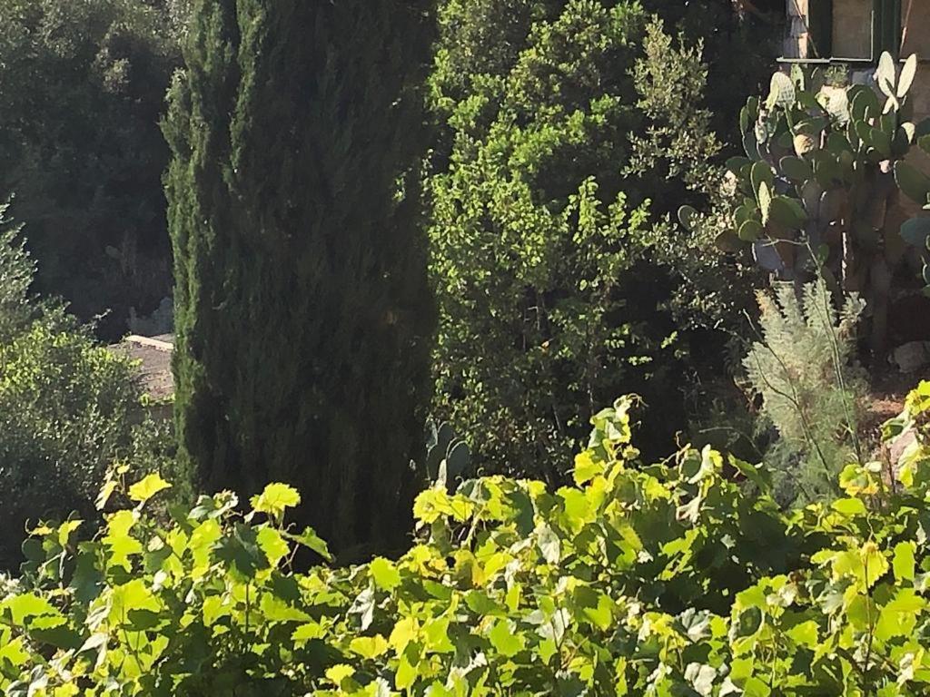 Vistalago Garden Doria Monteleone Rocca Doria Exterior photo